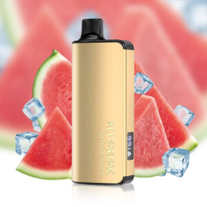 WATERMELON ICE - Alibarbar Ingot 9000 Disposable Vape